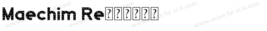 Maechim Re字体转换